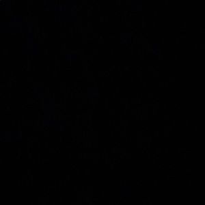 Meet your Posher, Drew